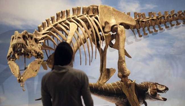 T-rex'in büyük amcası bulundu