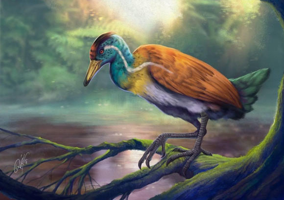 Brezilya'da 115 Milyon Yıllık Kuş Fosili Bulundu