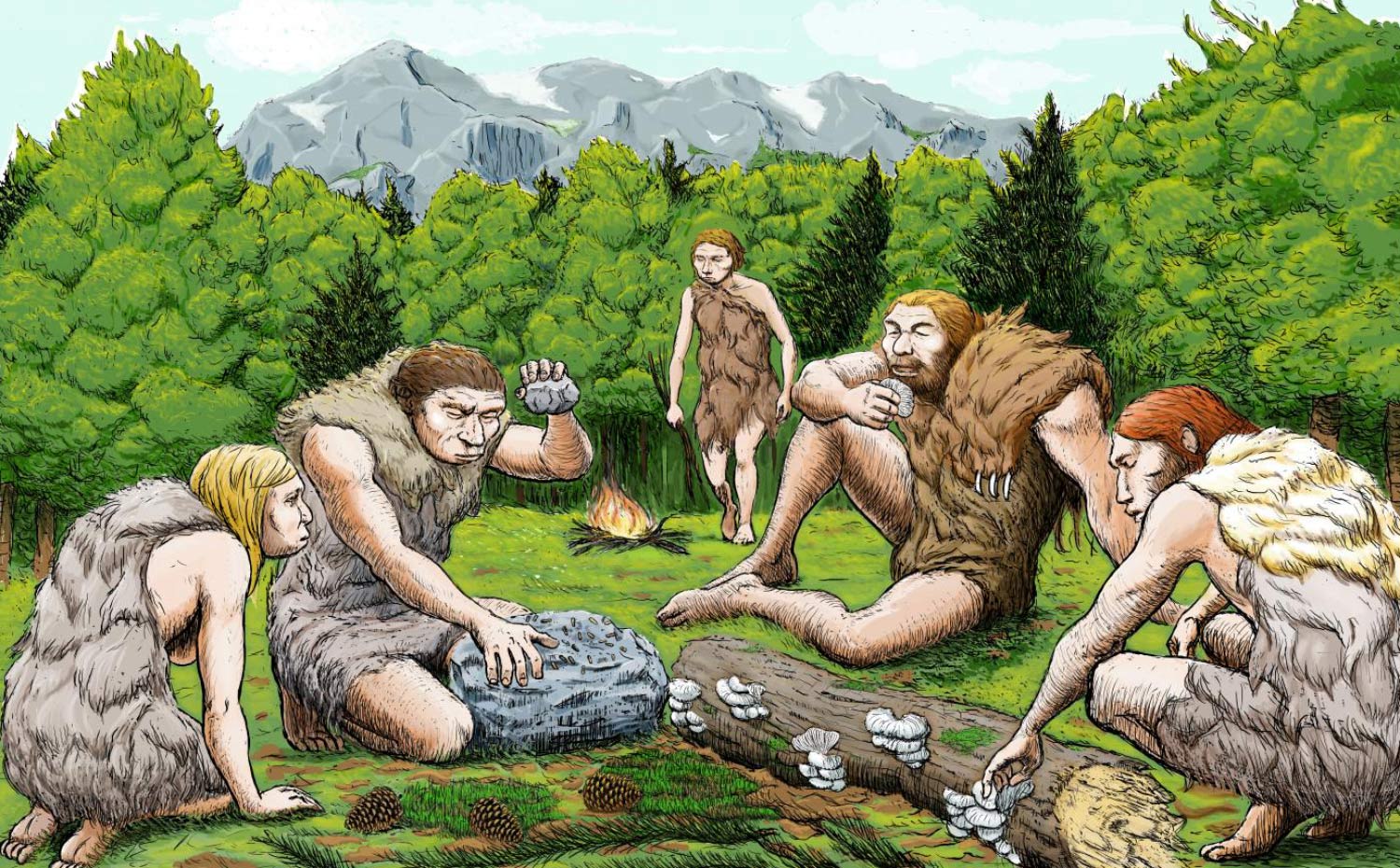 Neandertaller 125.000 Yıl Önce Ormanları Dönüştürdü