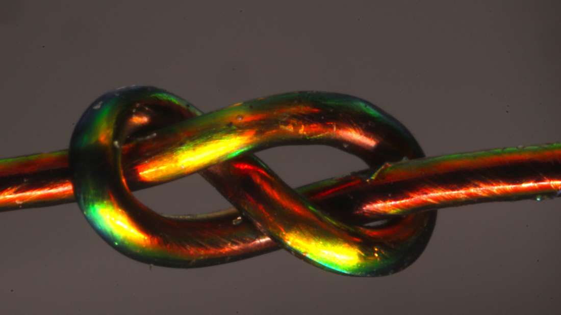 Renk Değiştiren Lifler Neden Bazı Düğümlerin Tuttuğunu Diğerlerinin Neden Tutmadığını Açıklıyor