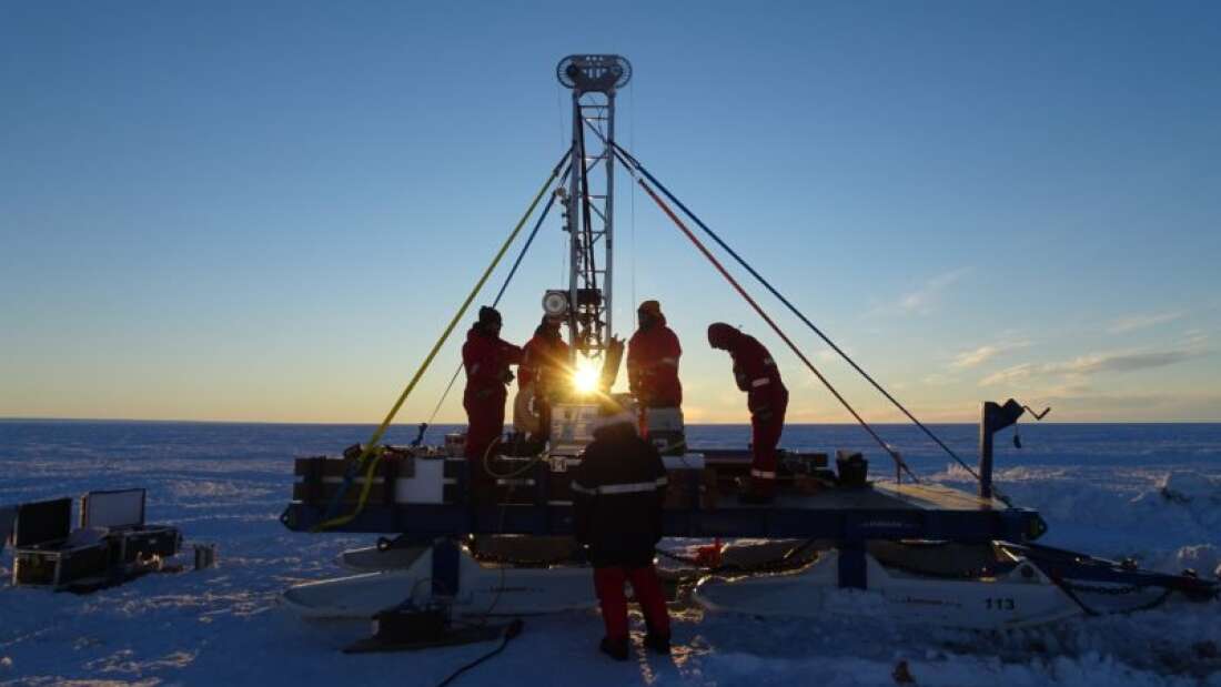 Antarktika'nın Buz Sahanlıklarının Derinliklerinde Beklenmedik Yaşam Formları Bulundu