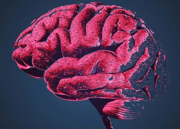 Fare Deneyi, Kan-Beyin Bariyerinin Kilidini Açmak İçin Yeni Bir Yöntem Ortaya Çıkardı