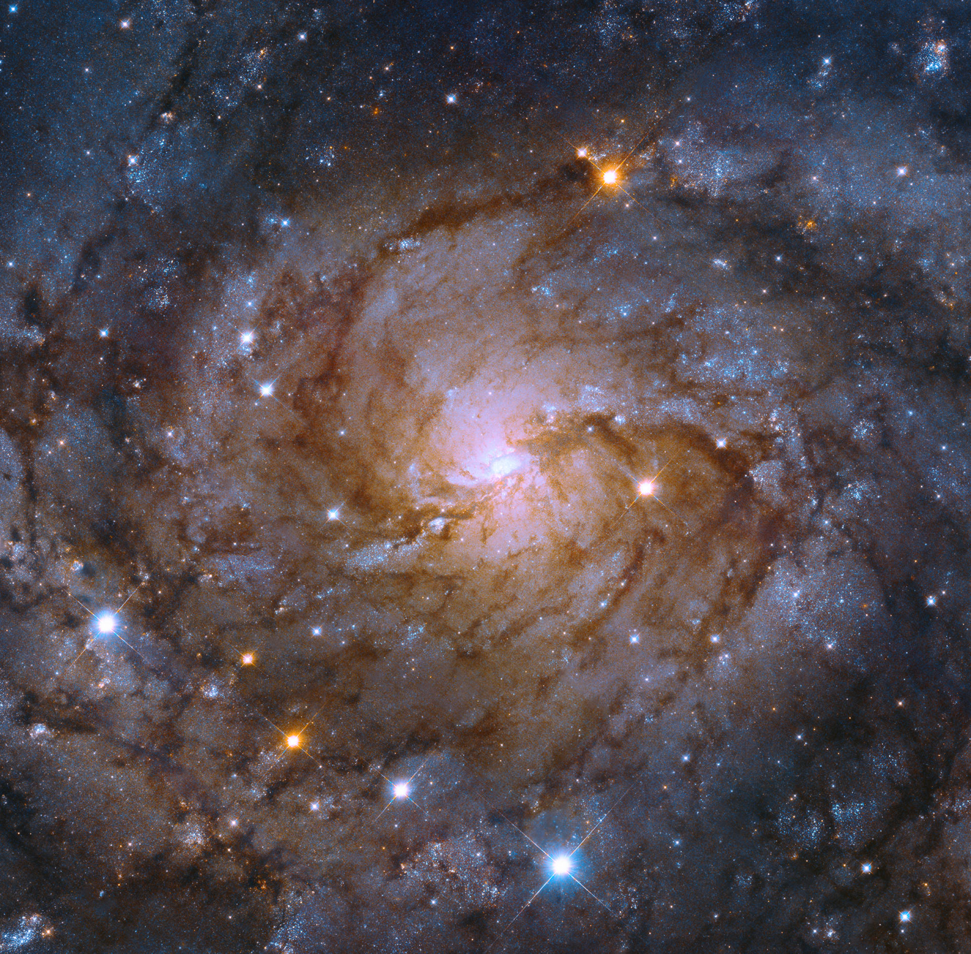 Hubble, Spiral Galaksi IC 342'yi İnceliyor