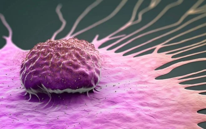 Yeni Araştırma Bulguları Şaşırtıcı: Meme Kanseri Geceleri Daha Saldırgan Bir Şekilde Yayılıyor