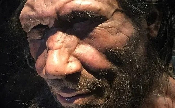 Bazılarımız Kısmen Neandertaliz ve Bu Aldığımız İlaçların Etkisini Değiştirebilir