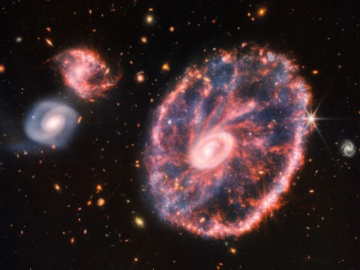 James Webb’den Gelen Yeni Bir Görüntü, Cartwheel Galaksisini Tüm Ayrıntılarıyla Ortaya Çıkardı