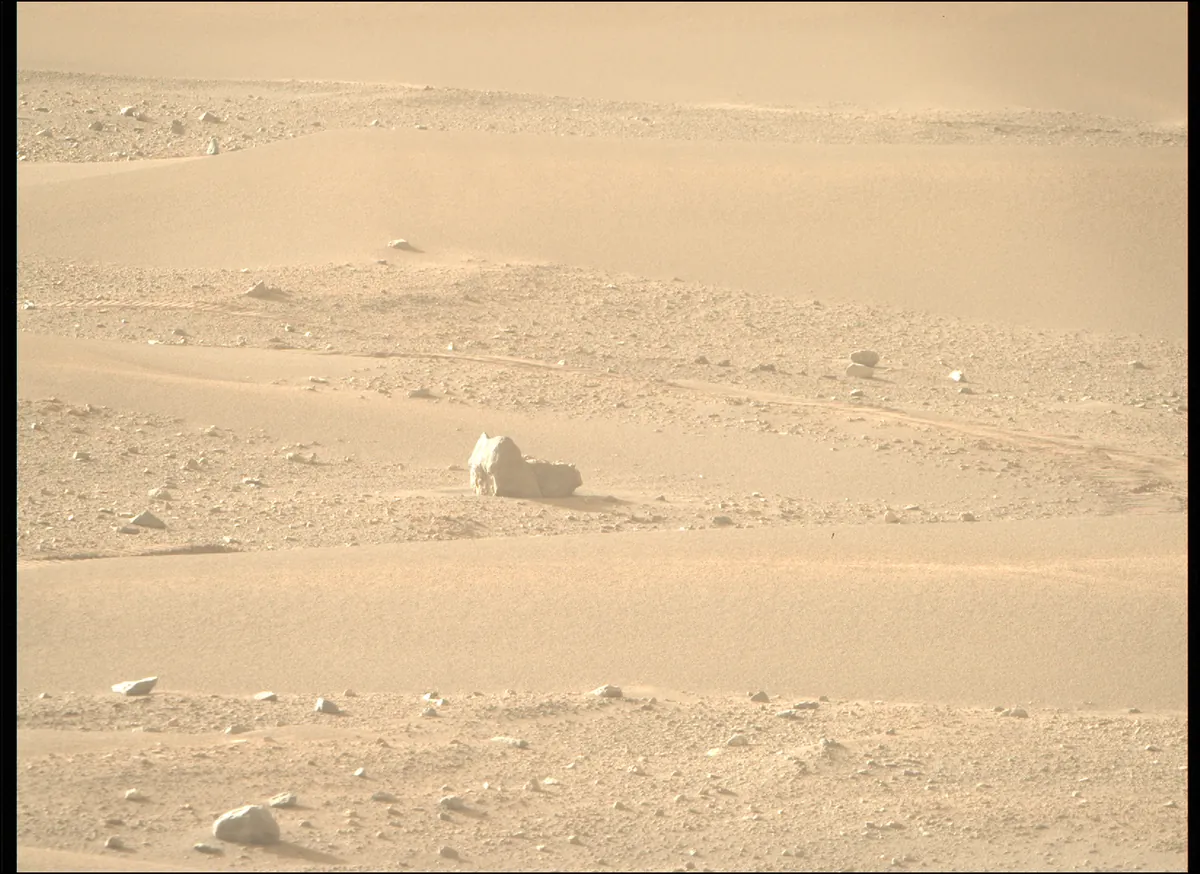 Perseverance, Mars'taki İlk “Kedi”yi Gözledi