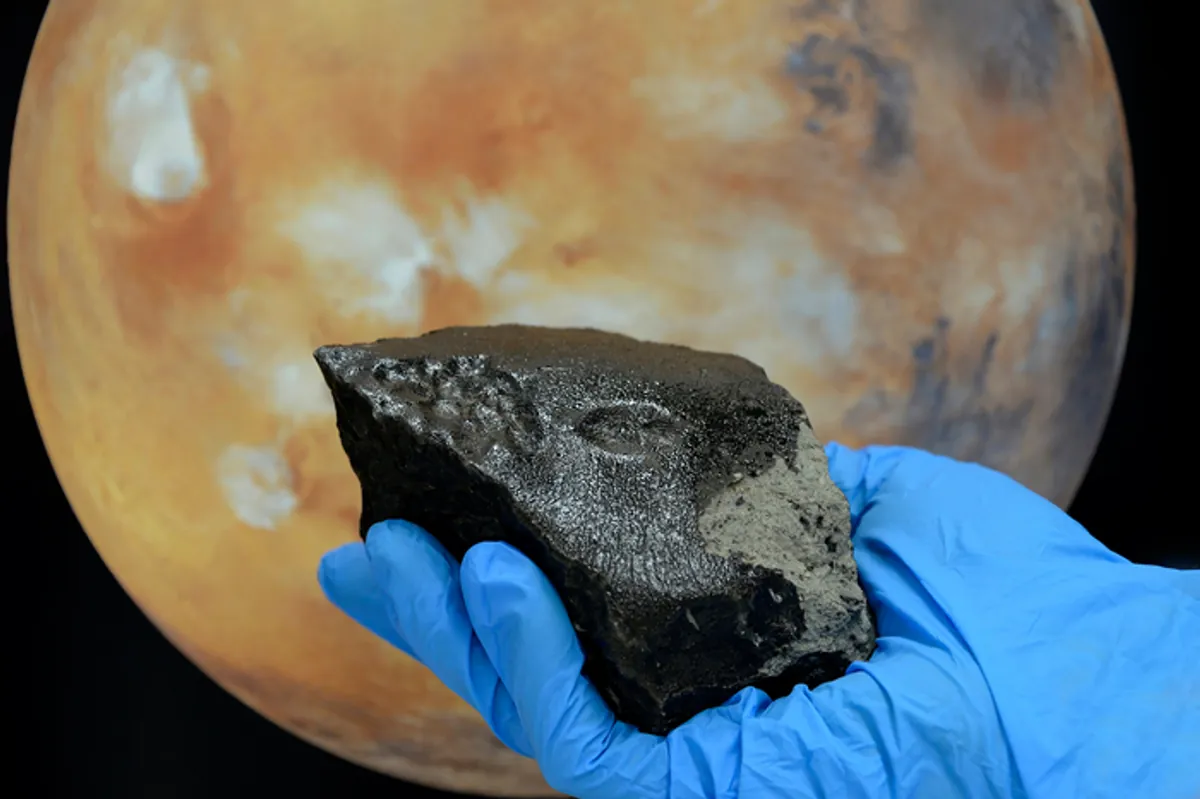 Mars Meteoriti, Organik Moleküllerin İnanılmaz Çeşitliliğine Sahip