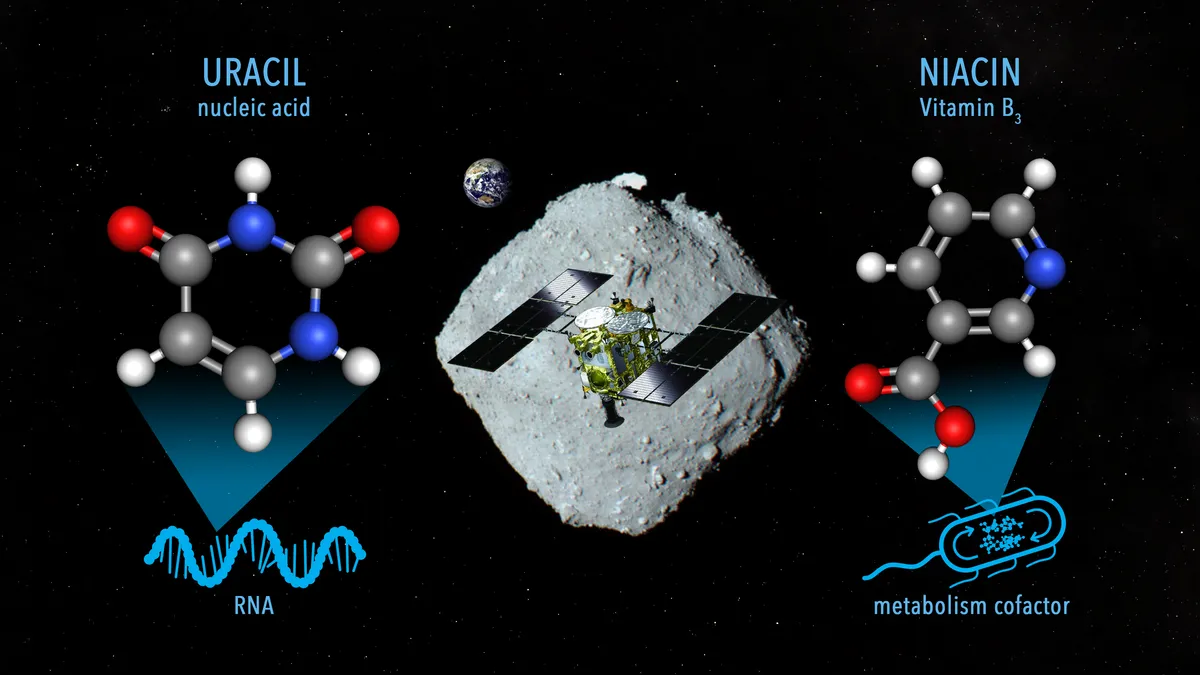 Asteroit Ryugu'da RNA Yapı Taşları ve B3 Vitamini Bulundu