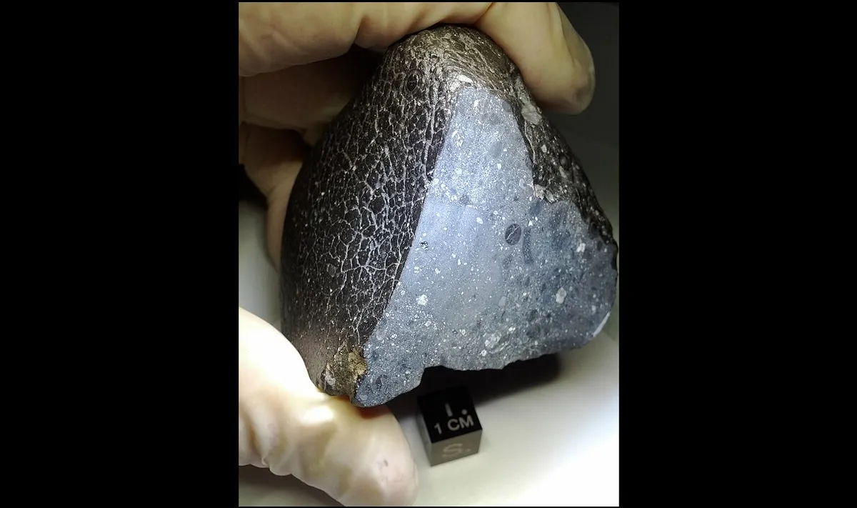 Mıknatıs Kullanan Meteorit Avcıları, Mars'ın Antik Manyetik Alanını Doğrulamak İçin En İyi Şansımızı Sildi