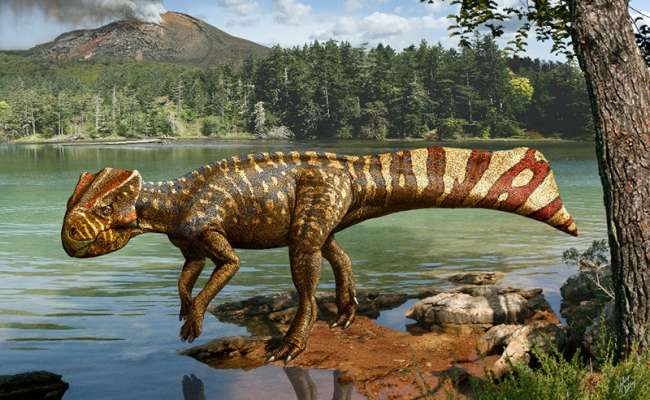 Tanzanya\'da yeni bir dinozor türünün fosili bulundu