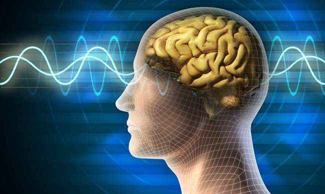 Ses dalgalarıyla beyin kontrolü sağlandı