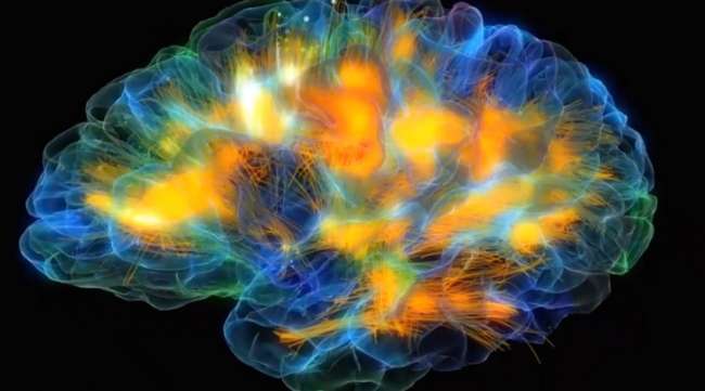 Egzersiz Beyin Hücrelerini Nasıl Canlandırır?