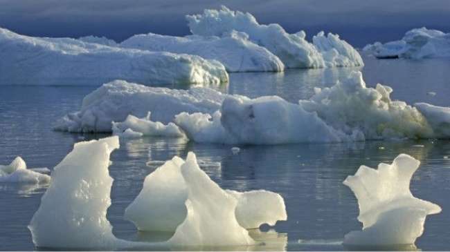 Serin yaz, Kuzey Buz Denizi'ne yaradı