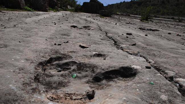 Bolivya'da bir dinozorun ayak izi bulundu