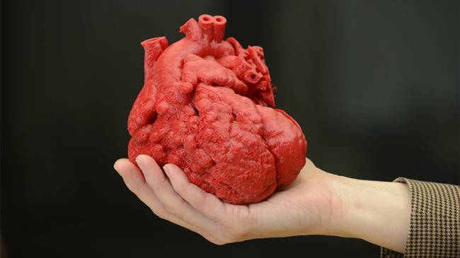 3D ​Biyoyazıcı ​Teknolojisi ile ​Doku ve ​Organ ​Üretimi