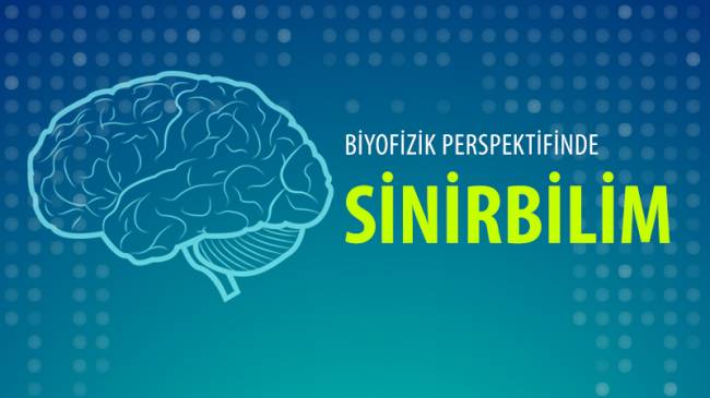 Biyofizik Perspektifinde 'Sinirbilim' 20 Mayıs'ta BMKM'de!