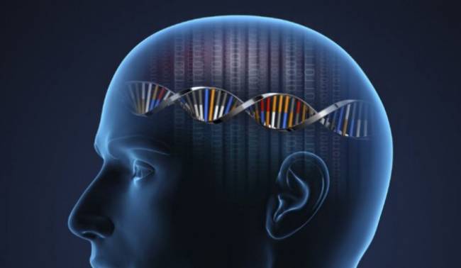 Şizofreni ile İlişkilendirilen Yeni Bir Gen Keşfedildi