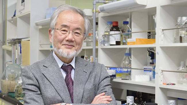 Nobel Tıp Ödülü'nü Japon Ohsumi kazandı